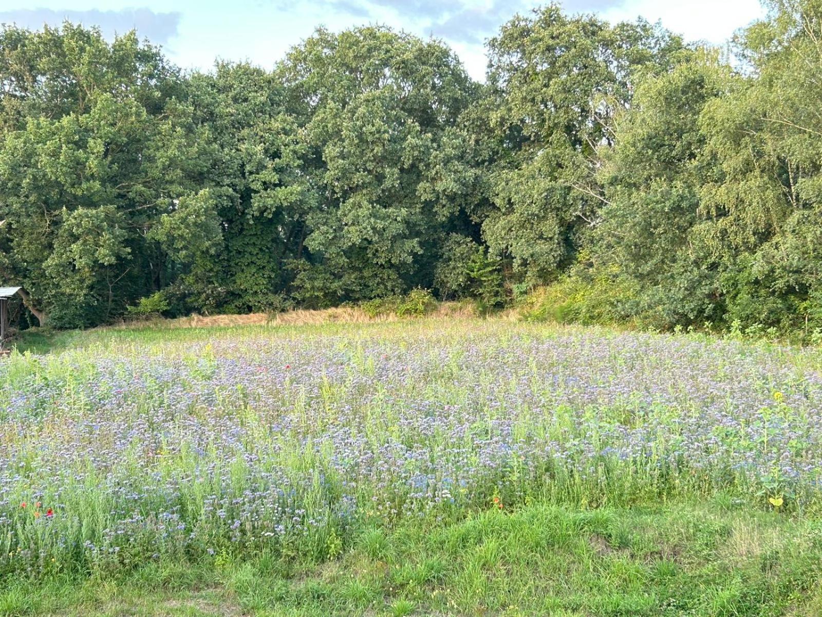 Xantener Ferienhaus Heeser Weg Exterior foto
